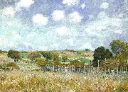 Alfred Sisley Meadow China oil painting reproduction